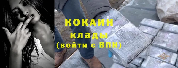 spice Богданович