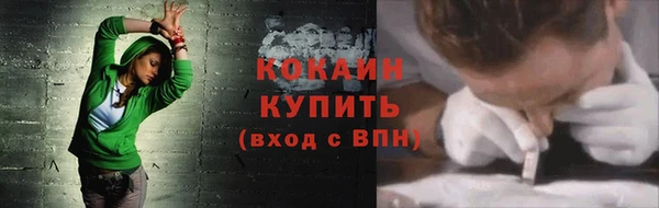 apvp Богородицк