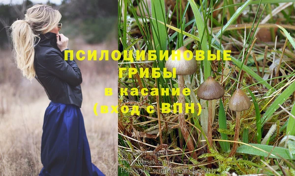 apvp Богородицк