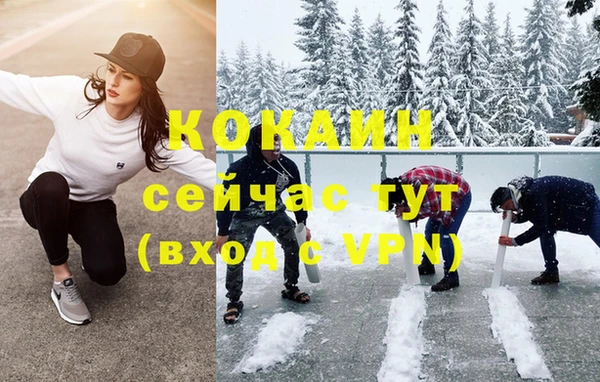 apvp Богородицк