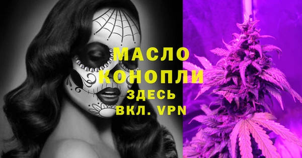 apvp Богородицк