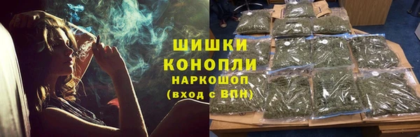 spice Богданович